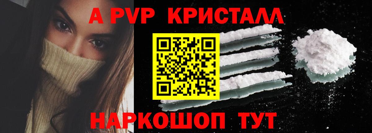 A PVP СК КРИС Петрозаводск