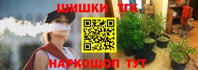 дурь Камышлов