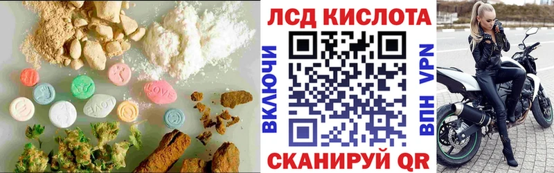 omg онион  Петрозаводск  Лсд 25 экстази ecstasy  где можно купить  