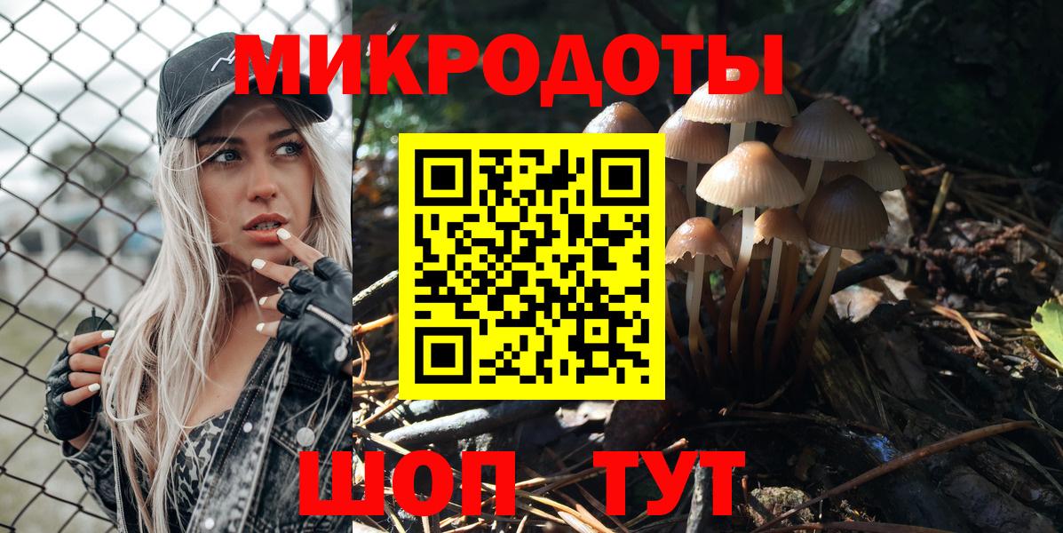 ГАШ Петрозаводск