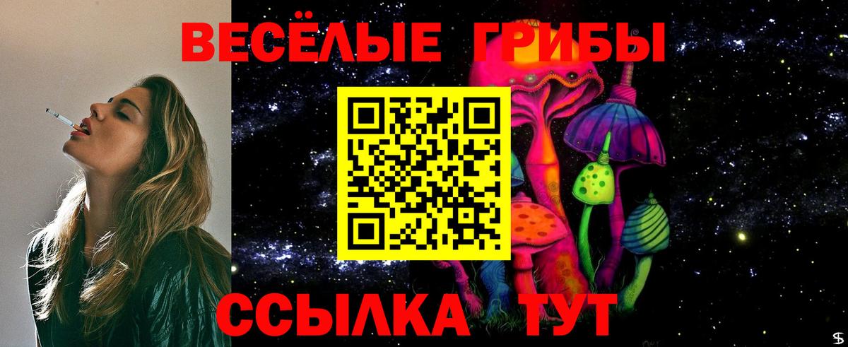 Псилоцибиновые грибы мицелий  Псилоцибиновые грибы мухоморы  Вход с VPN  Петрозаводск 