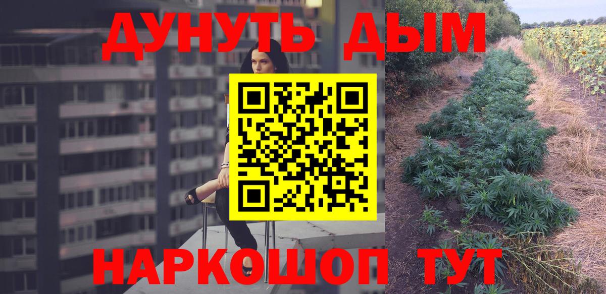 Конопля индика Петрозаводск